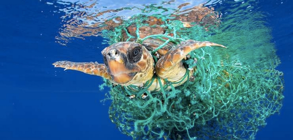 La contaminación marina en el World Press Photo