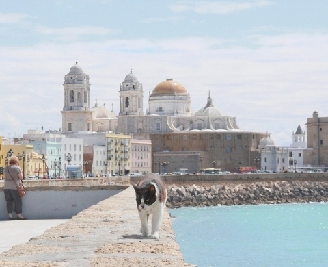 Cádiz