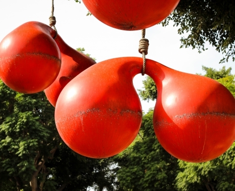 Vencedores y Vencidos